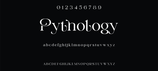 Luxury serif font in modern style. Elegant wedding alphabet letters font and number. Typography Luxury classic lettering serif fonts decorative vintage retro logo