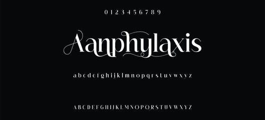 Luxury serif font in modern style. Elegant wedding alphabet letters font and number. Typography Luxury classic lettering serif fonts decorative vintage retro logo