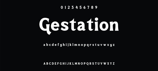 Elegant minimalist serif alphabet display font vector. Decorative typography style