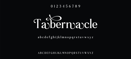 Elegant minimalist serif alphabet display font vector. Decorative typography style