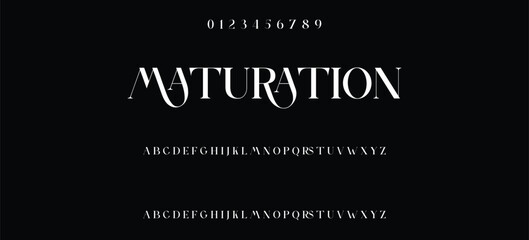 Elegant minimalist serif alphabet display font vector. Decorative typography style