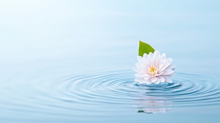 Serene pink flower floating on calm blue water with ripples.