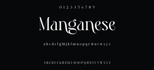 Elegant alphabet letters serif font and number. Classic Lettering Minimal Fashion. Typography fonts regular uppercase, lowercase and numbers. vector illustration