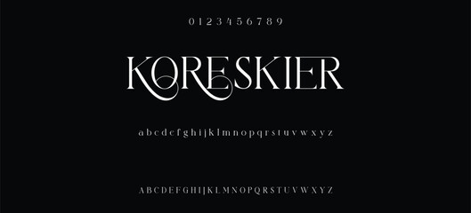 Elegant alphabet letters serif font and number. Classic Lettering Minimal Fashion. Typography fonts regular uppercase, lowercase and numbers. vector illustration