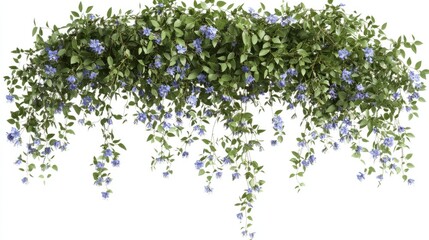 Blue Flowering Plant with Green Foliage for Decoration and Design
