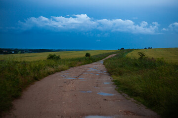 field, ears of corn, thunderstorm, village, trees, wind