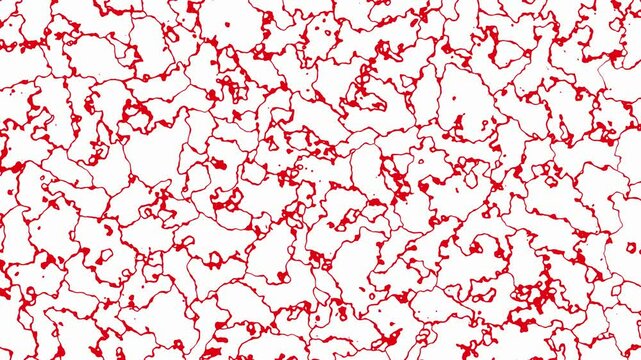 abstract animation of red lines on white background
