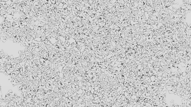 abstract animation of lines on white background