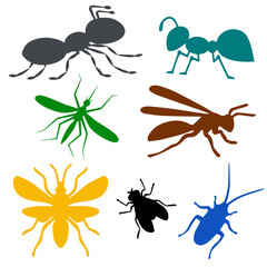 Insects of different colors without background