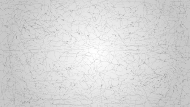 abstract animation of lines on white background