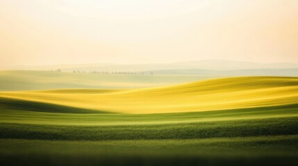 Obraz premium Serene Green and Yellow Fields Under Soft Morning Light