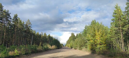 Country road. A wide, straight, sandy country road runs among the bushes and trees. The road goes...