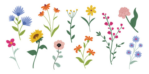 Collectionl spring flowers in a white background. Vector daisies, sunflowers, poppies, and wildflowers in various colors and shapes. Perfect for nature designs, patterns, and seasonal projects