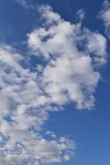 Blue Sky-28