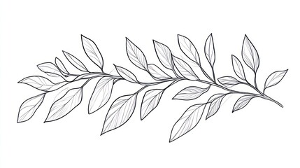 Elegant line art illustration of a leafy branch with detailed leaves on a white background.