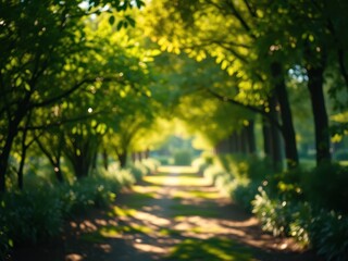 Obraz premium A defocused image of a garden path lined with trees on a bright sunny day, sunny, nature, scenery, blurred, greenery