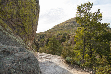 Hiking trail thru rock formations at Chiricahua National Monument, Arizona