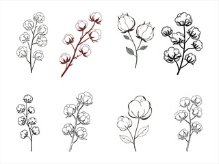 Elegant dried cotton flower branch vector set.