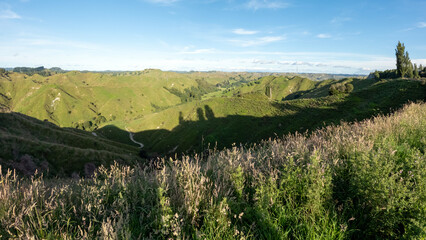 Scenic Drive Through Lush Rolling Hills and Rugged Countryside on Forgotten World Highway, North Island, New Zealand – Farmland, Meadows, and Native Forests