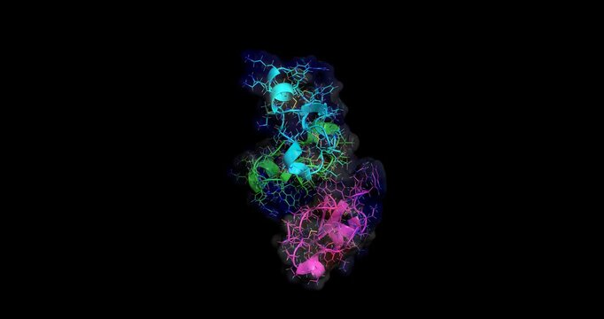 Crotamine, cell-penetrating peptide from Brazilian snake Crotalus durissus terrificus venom,  3D molecule, spinning on Y axis, 4K