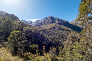 Alpine Scenery of Routeburn Track with Rugged Mountains and Lush Forests in Fiordland National Park, New Zealand