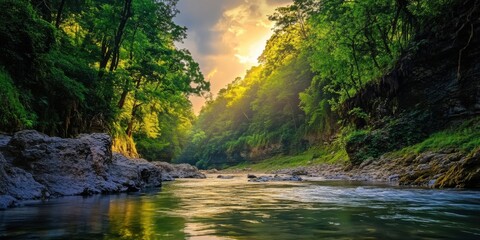 Paisaje natural con río y árboles al atardecer