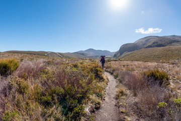 Tongariro Northern Circuit: Volcanic Landscapes and Alpine Adventure in New Zealand's North Island