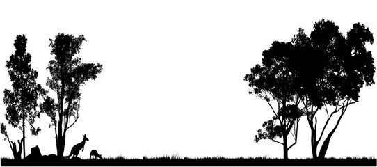 silhouette of Australian gum tress with white background