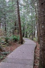 Walking trail at a park in the woods