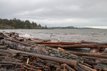 Driftwood washed up on the beach on a cloudy day