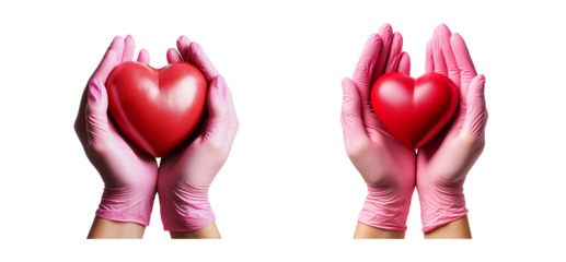 Hands Holding Red Heart on Transparent Background