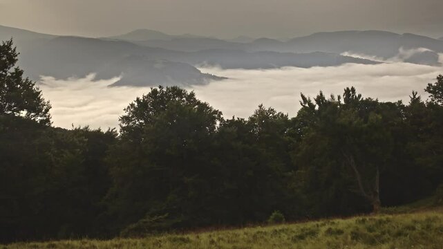Mystical fog in the Ukrainian Carpathians. Time Lapse.