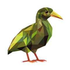 Simple Design of a Kiwi Full Body Geometry Vector Illustration | Bold and Creative Animal Art
