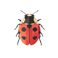 Simple Design of a Ladybug Full Body Geometry Vector Illustration | Bold and Creative Insect Art
