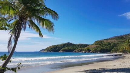 Serene Tropical Beach with Palm Trees and Calm Ocean Waves