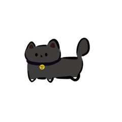 Gray cat