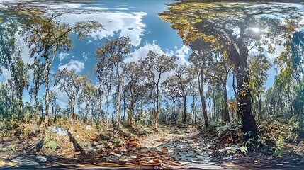 A panoramic scene capturing forest preservation efforts promoting steady growth as diverse species interact harmoniously under rustling canopies 