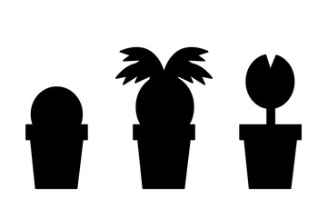 palm and cactus icon set on white background.