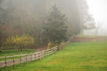 Farmland shrouded in fog adds a mysterious quality to the landscape. Pastureland and a split rail fence brings a rural, comfortable feel to this Pacific Northwest hideaway during the autumn season.