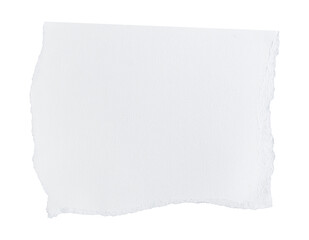 Fototapeta premium White ripped piece of paper isolated on transparent background PNG file