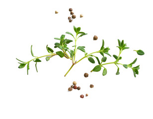 Fresh thyme leaves with pepper, transparent shadow background cooking.