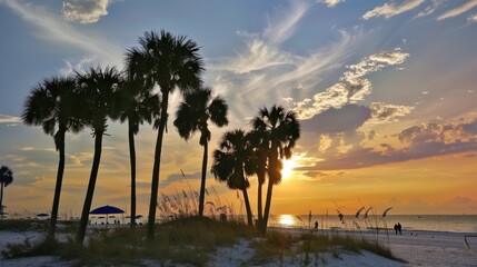Obraz premium Sunset Over Peaceful Beach with Silhouetted Palm Trees