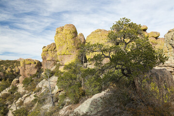 Rock formations at Chiricahua National Monument, Arizona