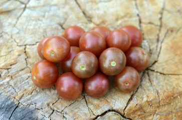 Freshly picked cherry tomatoes on an old tree stump as a background. Concept of growing varietal tomatoes..