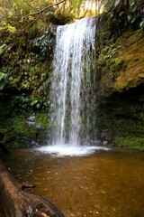 Koropuku Falls - Hidden Waterfall Gem in New Zealand's Rainforest