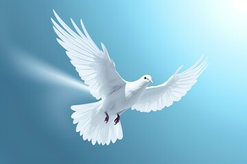 Obraz premium white dove flying