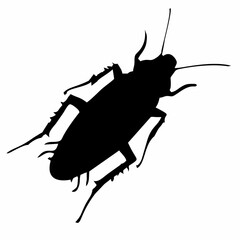 black silhouette of cockroach insect