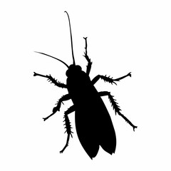 black silhouette of cockroach insect