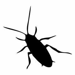 black silhouette of cockroach insect
