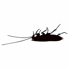 black silhouette of cockroach insect